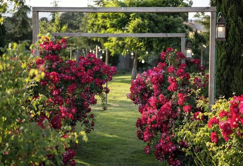 Hotelli Aal Cachucho