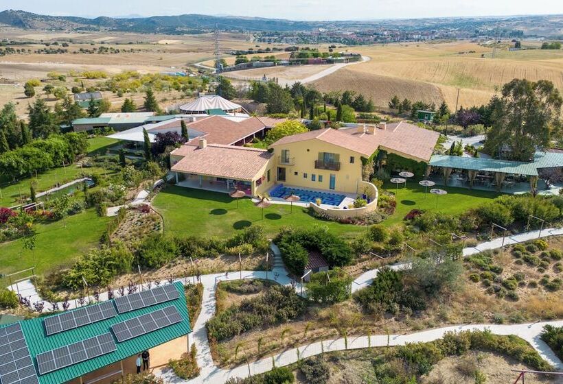 ホテル Aal Cachucho