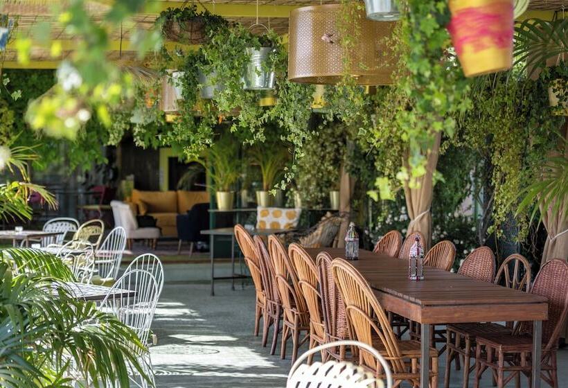 ホテル Aal Cachucho