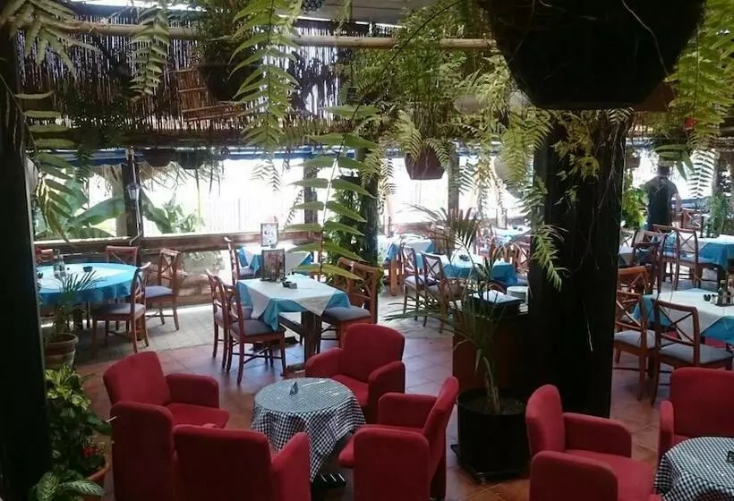 ホテル Camping Playa De Vargas