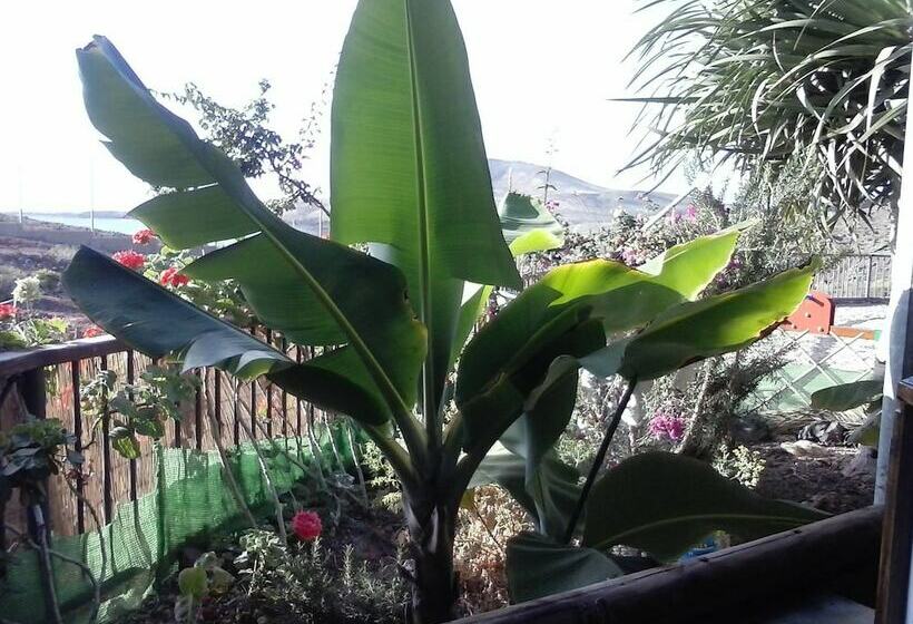 Hotel Camping Playa De Vargas