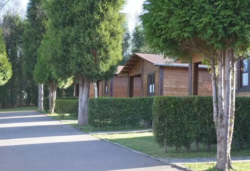 ホテル Camping Villaviciosa