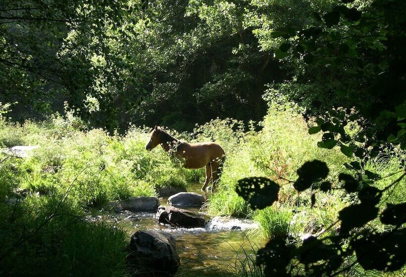 בית מלון כפרי Casas Viduedo