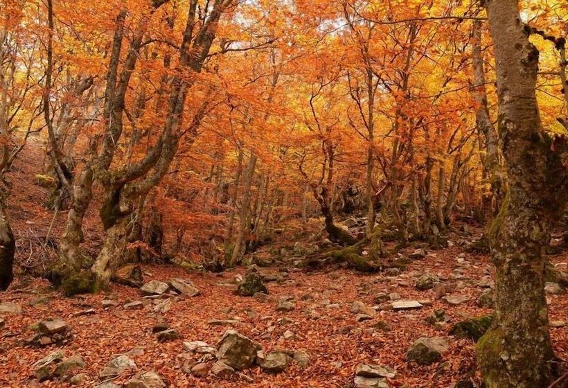 Отель Rural Restaurante La Posada De Los Vientos