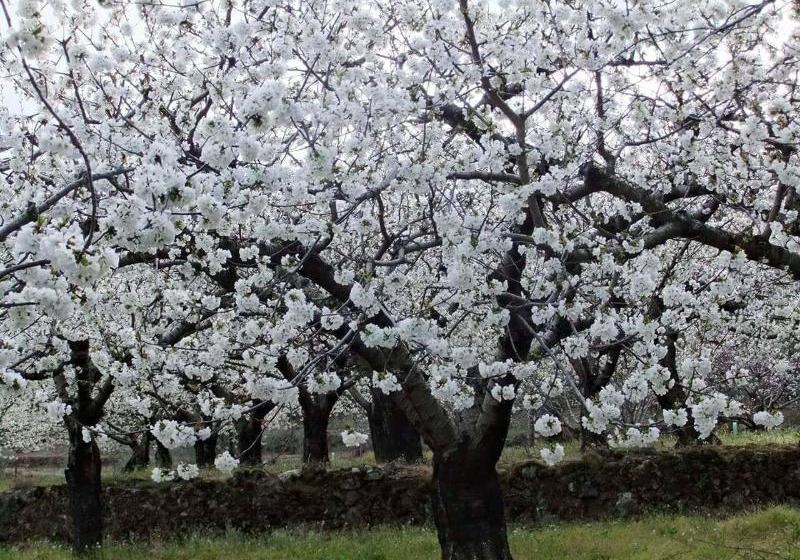 Casa Rural Aguas Del Venero