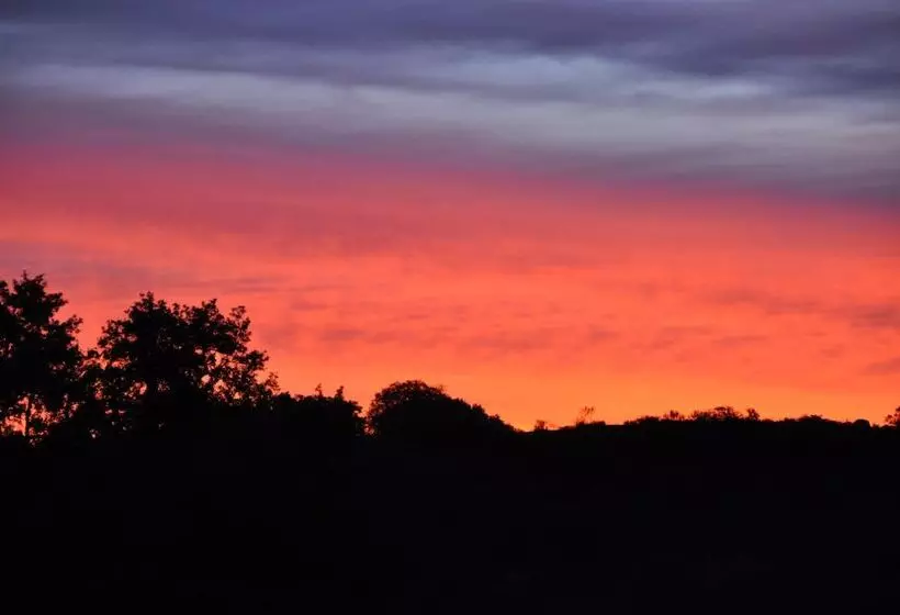 ベッドアンドブレックファースト La Cerca Del Alcornoque