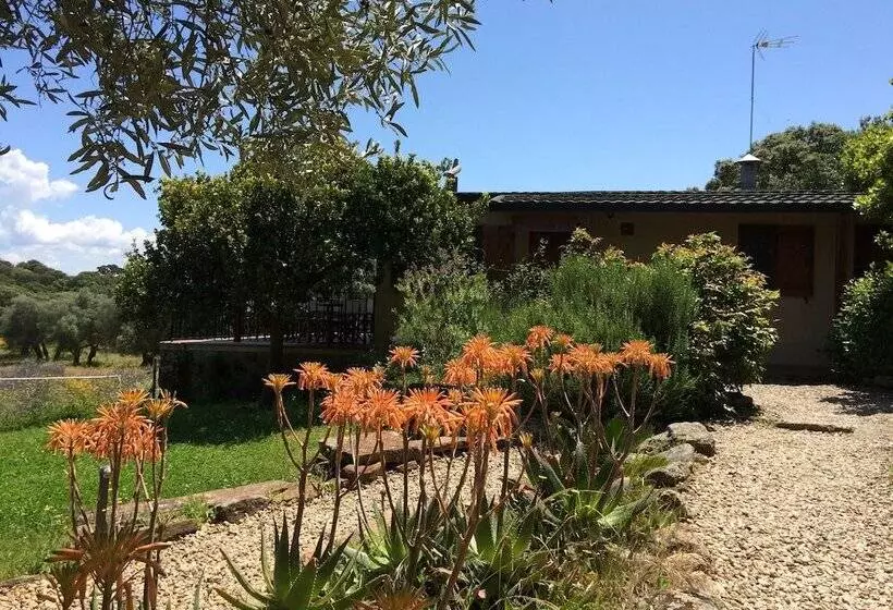 ベッドアンドブレックファースト La Cerca Del Alcornoque