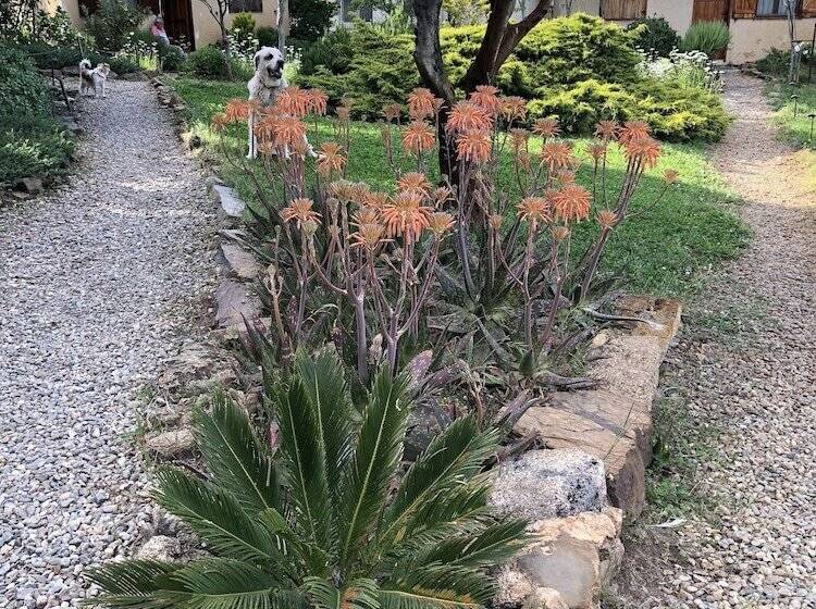 مبيت وإفطار La Cerca Del Alcornoque