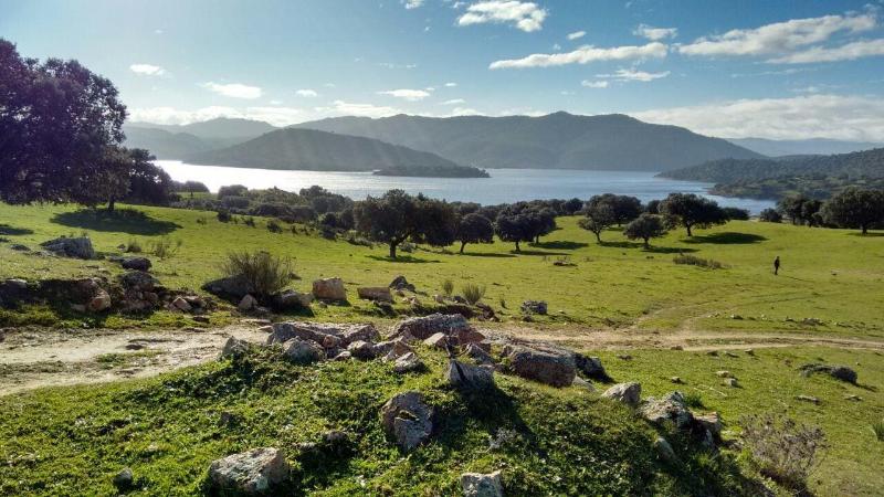 مبيت وإفطار La Cerca Del Alcornoque