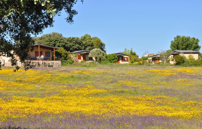 مبيت وإفطار La Cerca Del Alcornoque