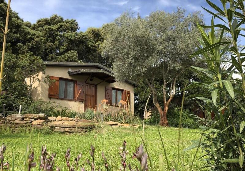 مبيت وإفطار La Cerca Del Alcornoque