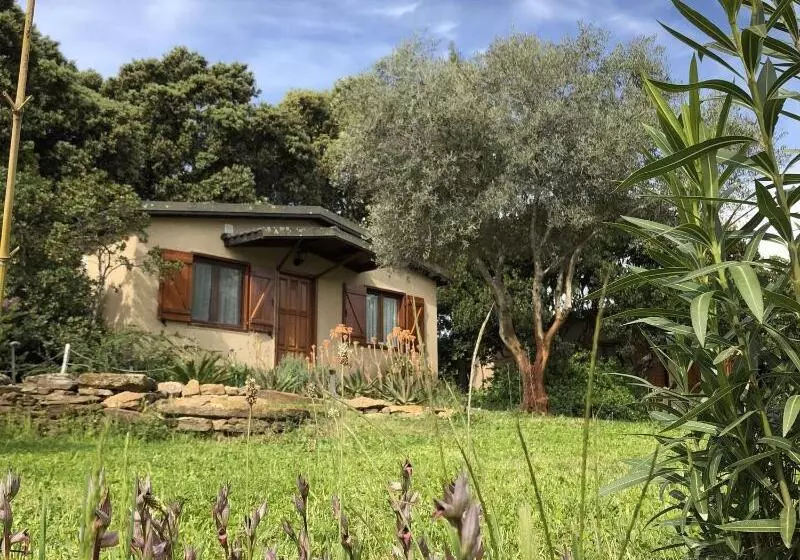 ベッドアンドブレックファースト La Cerca Del Alcornoque