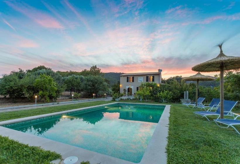 Sa Vinyota De Can Piti