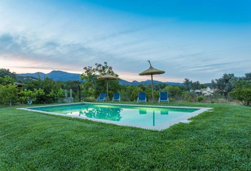 Sa Vinyota De Can Piti