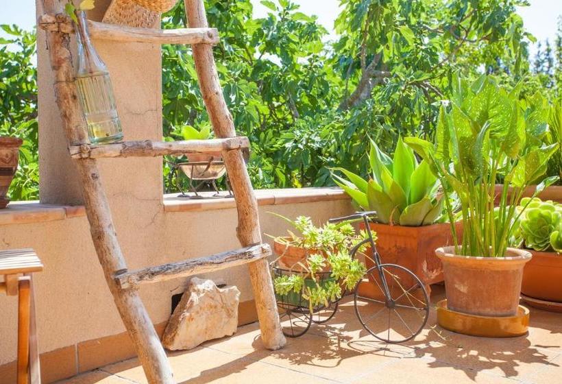 Sa Vinyota De Can Piti