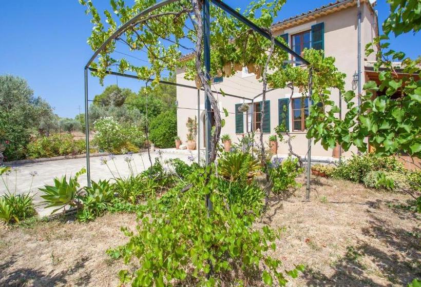 Sa Vinyota De Can Piti