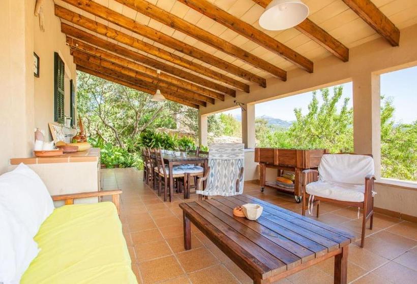 Sa Vinyota De Can Piti