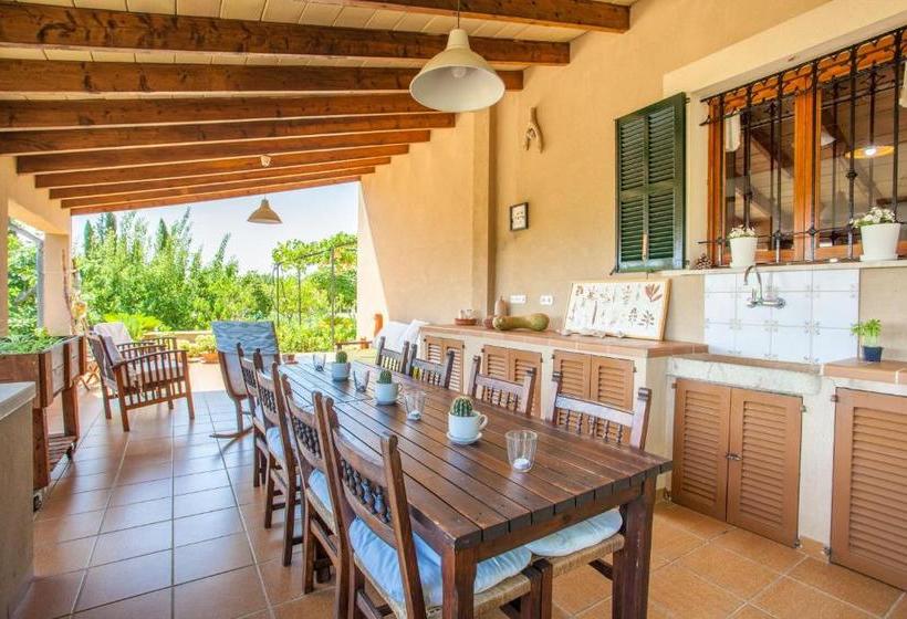 Sa Vinyota De Can Piti