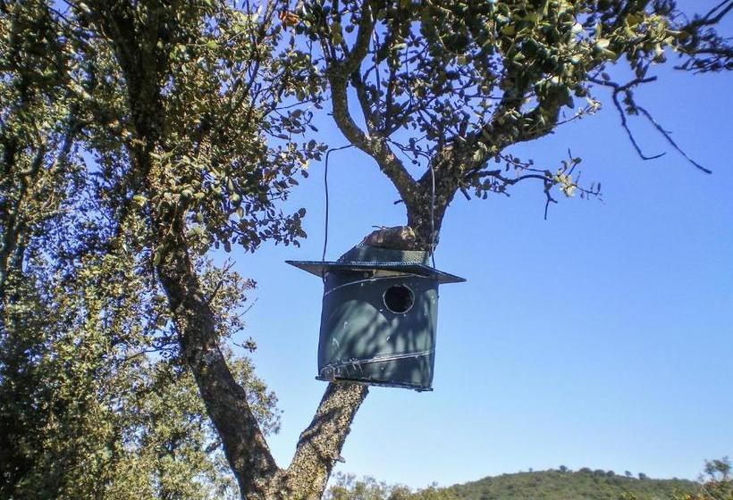 Casa Rural Alonso Quijano El Bueno