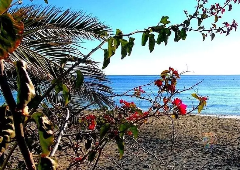 簡易ホテル La Palmera. El Amanecer En El Parque Natural