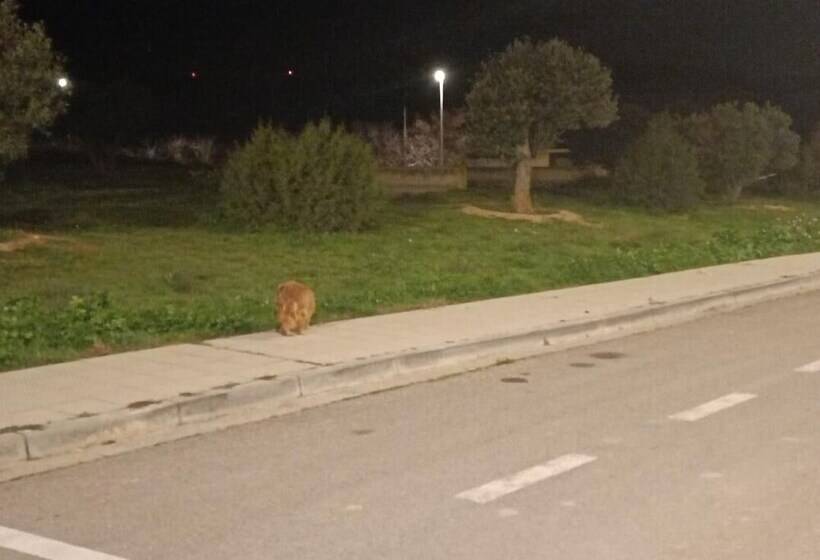 Hostal Restaurante Patio