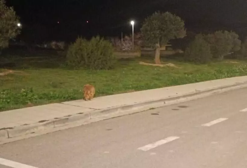 Hostal Restaurante Patio