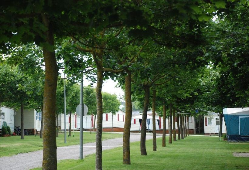 호텔 Camping Lluçanés