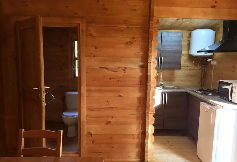 Hotelli Camping Ripolles