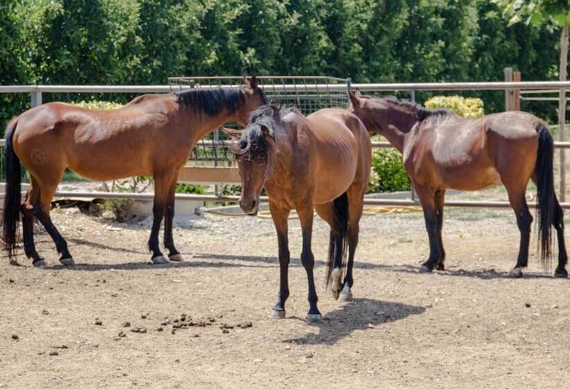 فندق Casa Rural Cal Modest