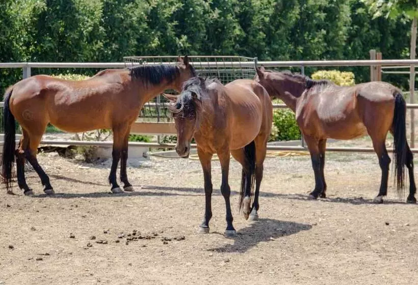 هتل Casa Rural Cal Modest