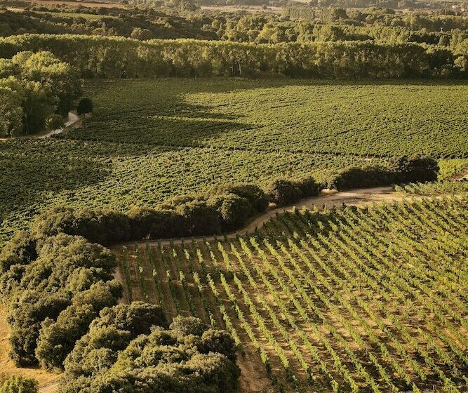 酒店 Propiedad De Arínzano