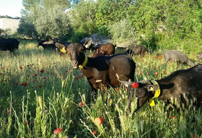 Maaseutuhotelli Agroturismo La Artezuela