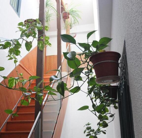 بنسيون Los Angeles Plaza