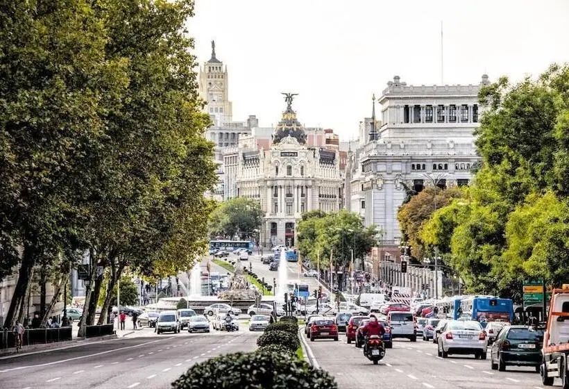 هاستل Arc House Madrid   Puerta Del Sol Only Adults
