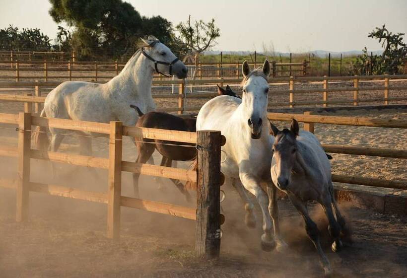 هتل Cortijo El Indiviso