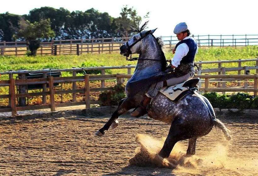 هتل Cortijo El Indiviso
