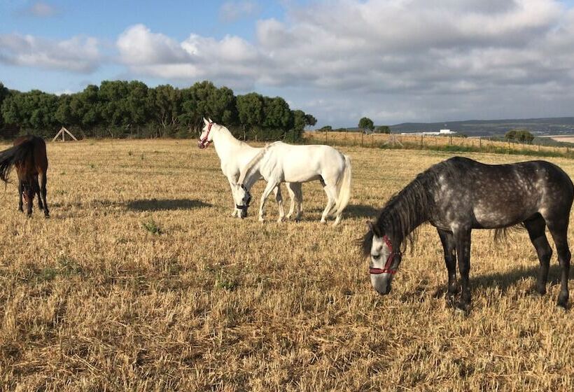 هتل Cortijo El Indiviso