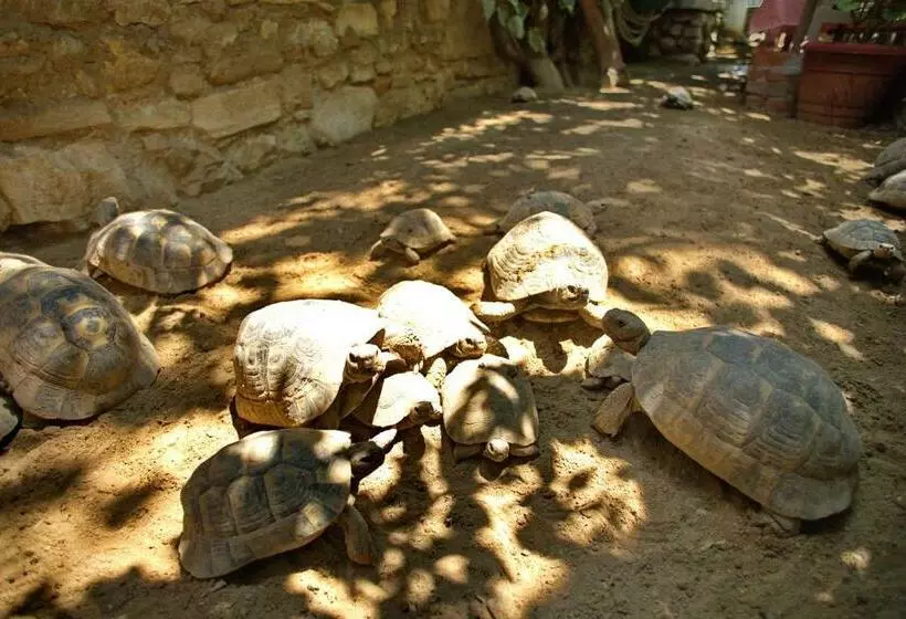 ホテル Garden Palace Boutique