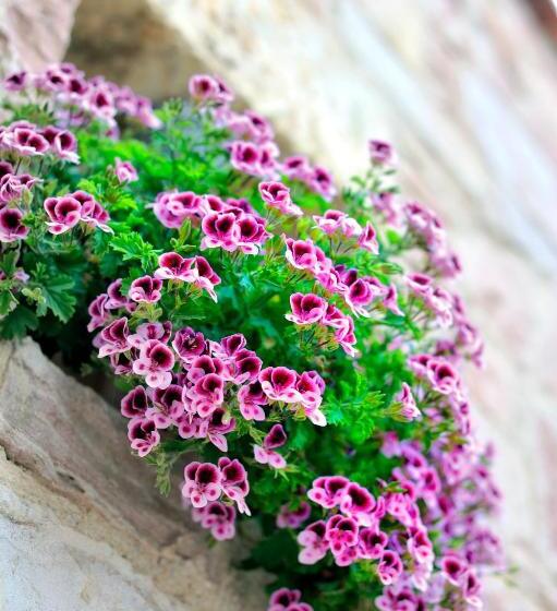 בית מלון כפרי Yundantik Cunda Konaklari