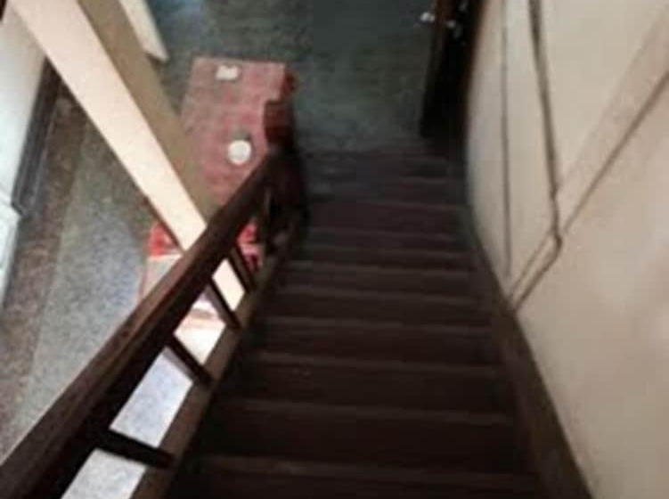 Century Green Lodge   Hostel