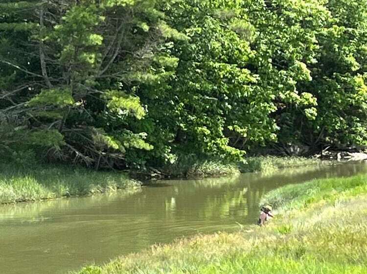 客栈 The Orchard House & Cafe