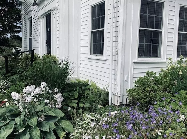 Hostelli The Orchard House & Cafe