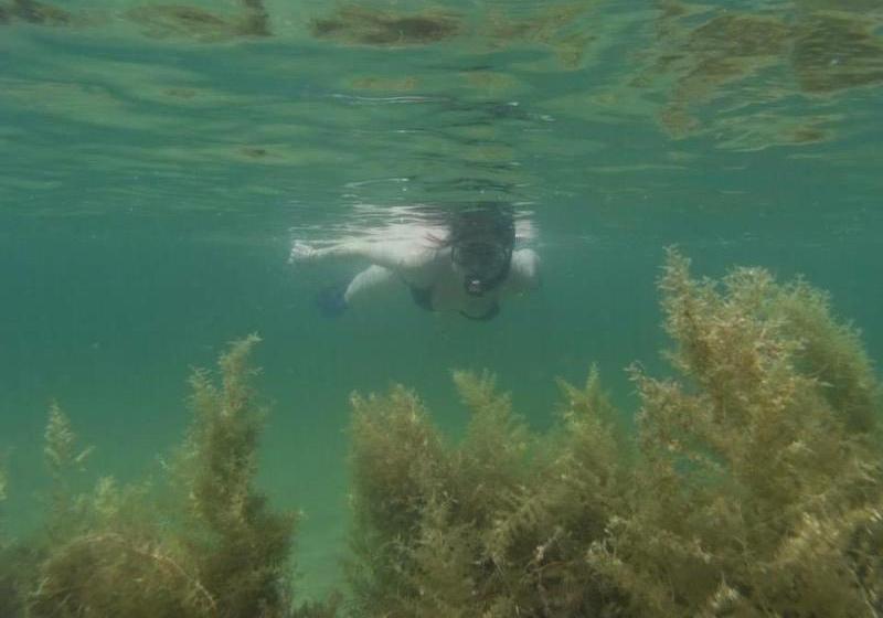 Hotel Golden Pearl Beach Resort