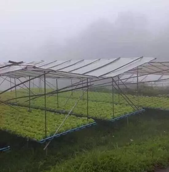 Hotelli Jit Dee Home Khao Kho