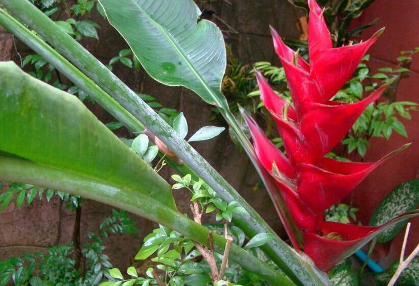 هتل Shanti Lodge Phuket