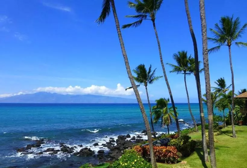 Mahina Surf