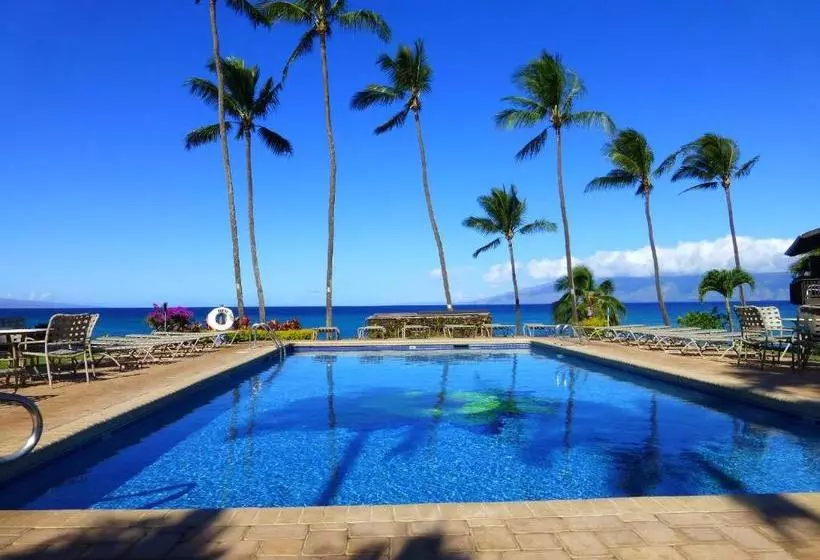 Mahina Surf