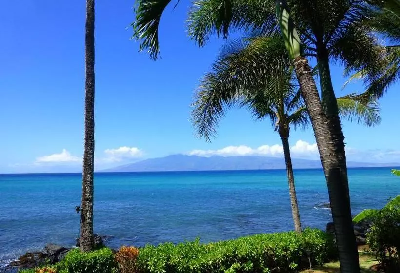 Mahina Surf
