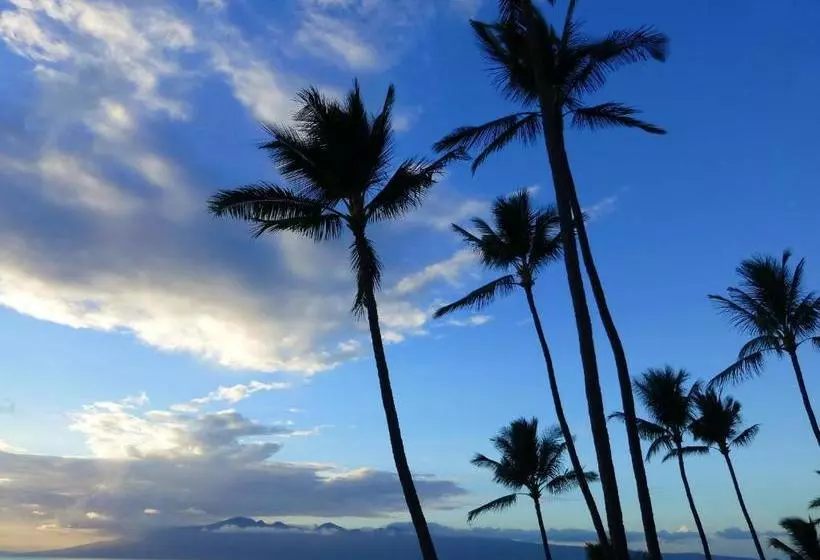 Mahina Surf