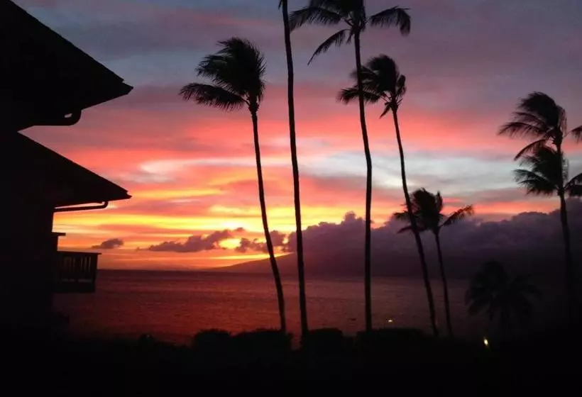 Mahina Surf